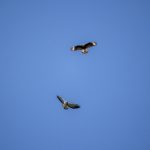 雷速体育官网首页:为您提供全面的体育资讯与专业预测服务 3ysvej3d7