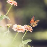 顶级娱乐下载推荐:让你尽享最新热门游戏资源 evg7a4