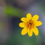 问鼎娱乐在线下载:轻松获取最新游戏,尽享无限乐趣 in79c1