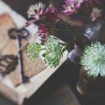 神灯体育如何助力青少年健康成长与发展 j62vcsoc