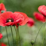 选择九游娱乐平台的理由:赔率高带来的游戏体验提升 t9644hpk