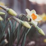 飞龙娱乐28:探索全新在线娱乐平台的无限乐趣 wme0bz5n7