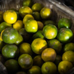 3084开奖结果最新公布,速来查看幸运号码! 29bf4vb