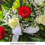 122期大乐透开奖结果公布:大奖花落谁家引关注 72qqomkaml