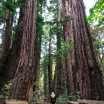 123开奖直播现场全程高清实况在线观看 c15ph