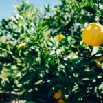 122期开奖码揭晓:幸运数字震撼出炉 e95xtx