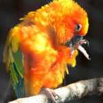 123k开奖直播现场全程高清在线观看 in4pmgnl6b