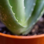 122144开奖结果最新公布,惊喜大奖花落谁家 nr9a0fhf3