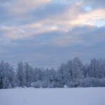 3068期开奖结果正式公布,快来看看幸运号码有哪些 oaa2b4ph