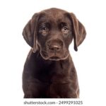 122期开奖结果震撼揭晓,大奖花落谁家引万众瞩目 s40uqorr7